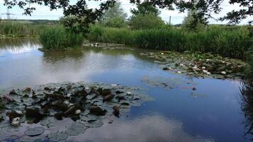 Casa | Vistas desde el alojamiento