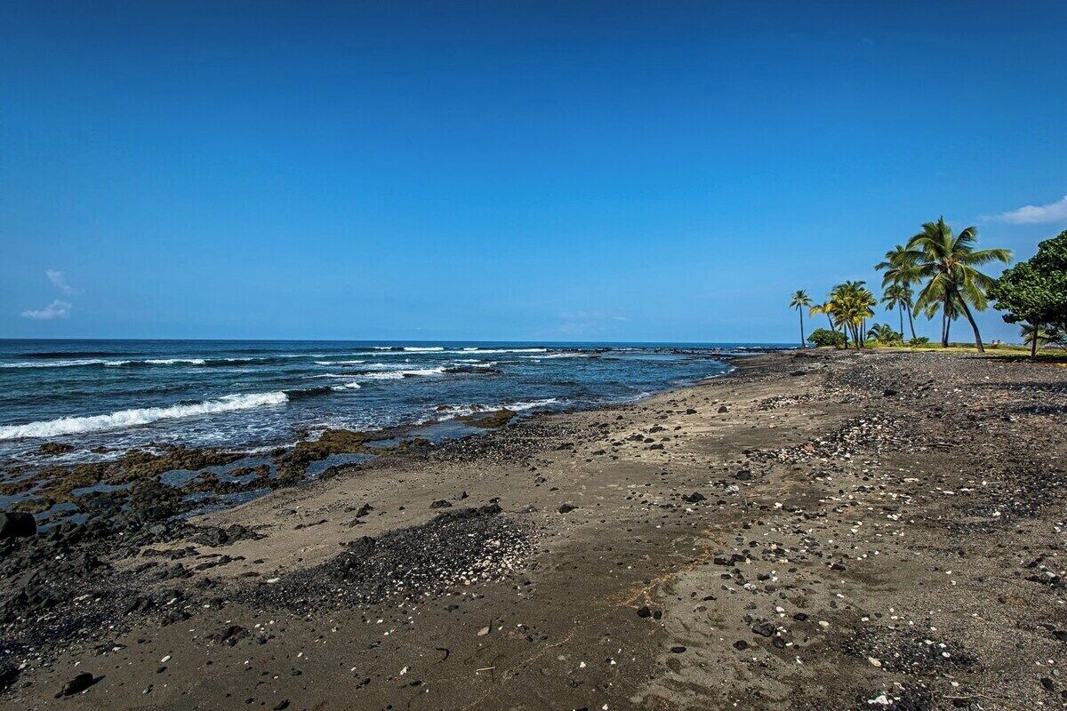 A beach with dark sand, scattered rocks, and palm trees under a clear blue sky.