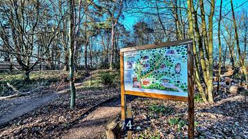 House | View from property