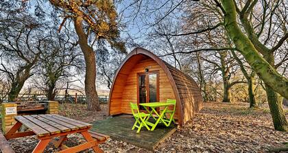Glamping Pods in Suffolk Woodland Retreat