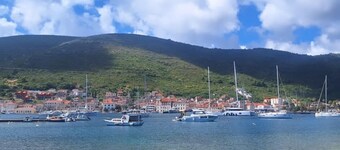 Charming 4-bedroom house with pool view, surrounded by a garden in Rukavac, Vis