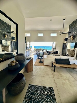 Smart TV, fireplace, books