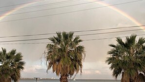 A view of palm trees and a distant body of water with a rainbow arching across the sky. - İMADA MOTEL  (Ayvacik)