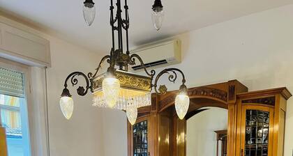 Apartment 10 minutes from the Theater and the historic home of Gioacchino Rossini.