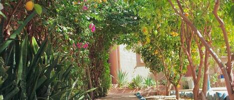 Overnattingsstedets uteområder