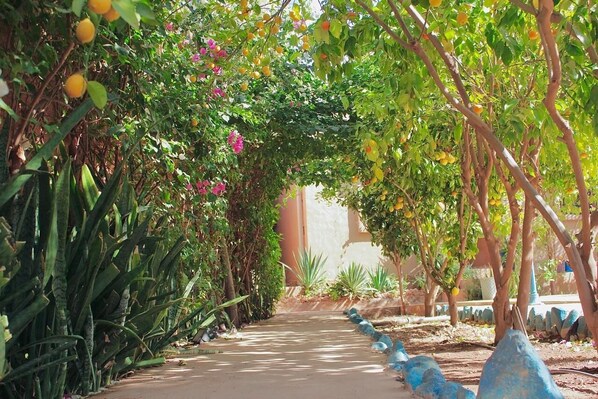 Overnattingsstedets uteområder