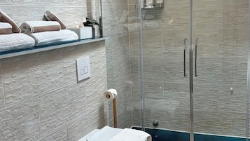 Shower, hair dryer, bidet, towels