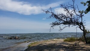 A beach with a tree in the foreground, a sandy shore, and the sea in the background. - Vacation home in Lieper Winkel (Rankwitz)