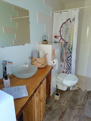 Hair dryer, towels, toilet paper - P'tit ranch (Boucé)