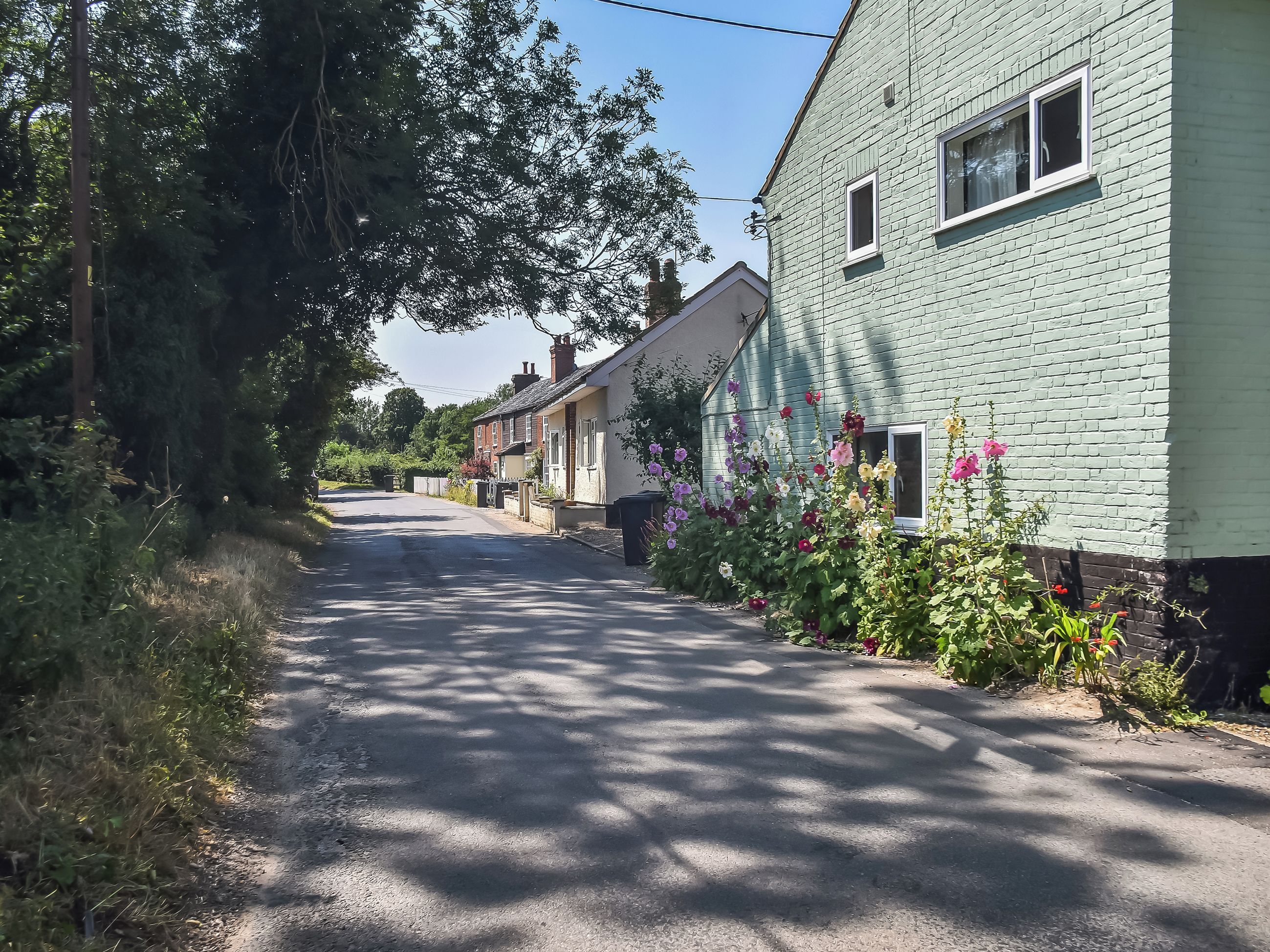 Een smalle weg, begrensd door huizen met zichtbare ramen en deuren, omgeven door groen en bloeiende planten.