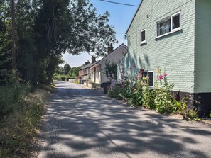 Un camino estrecho flanqueado por casas con ventanas y puertas visibles, rodeado de follaje y plantas en flor.
