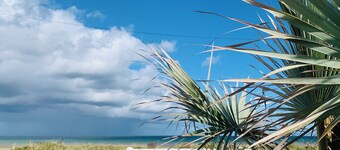 La brise du large - Seafront