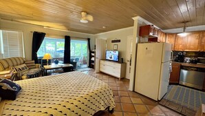 Une chambre confortable avec un lit, une télévision, un coin repas et une cuisine.