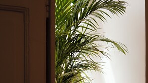 Una puerta que da a una habitación con una planta en maceta y una silla.