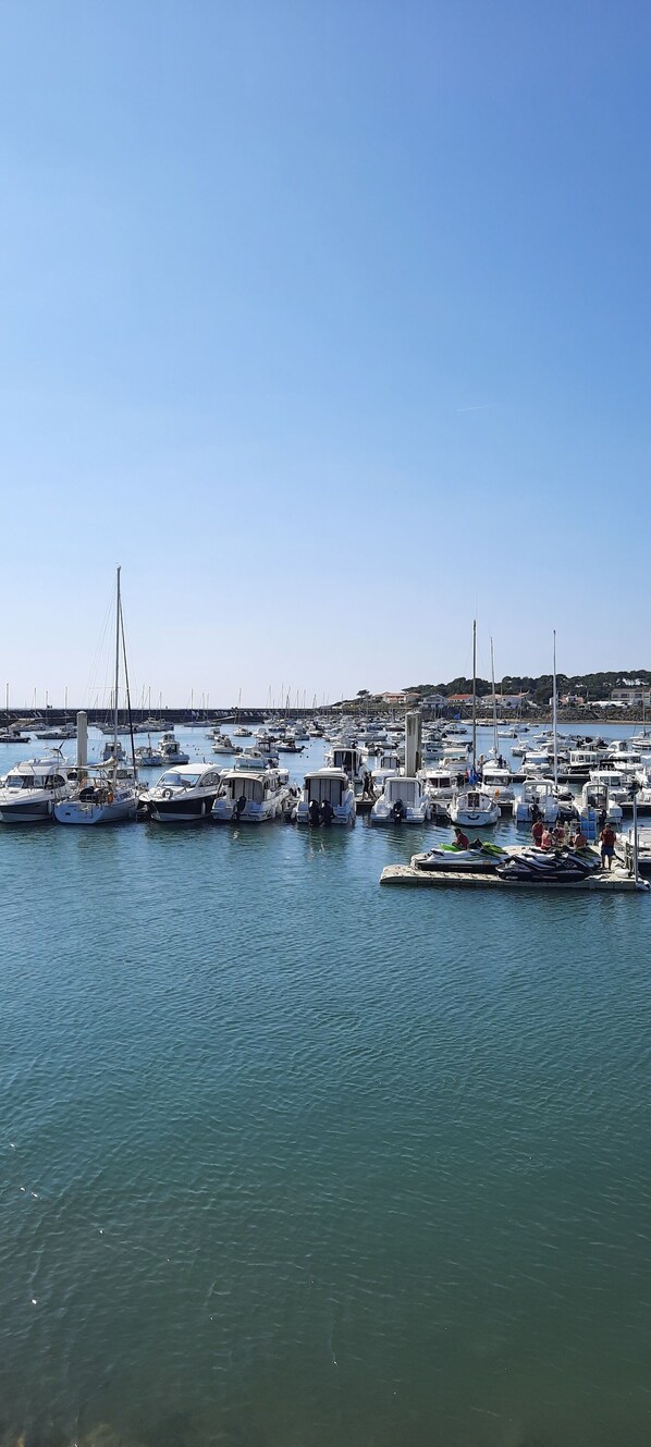 Marina