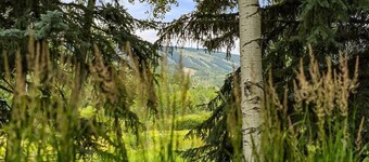 Luxe Snowmass Townhouse—Steps from Shuttle to Lift