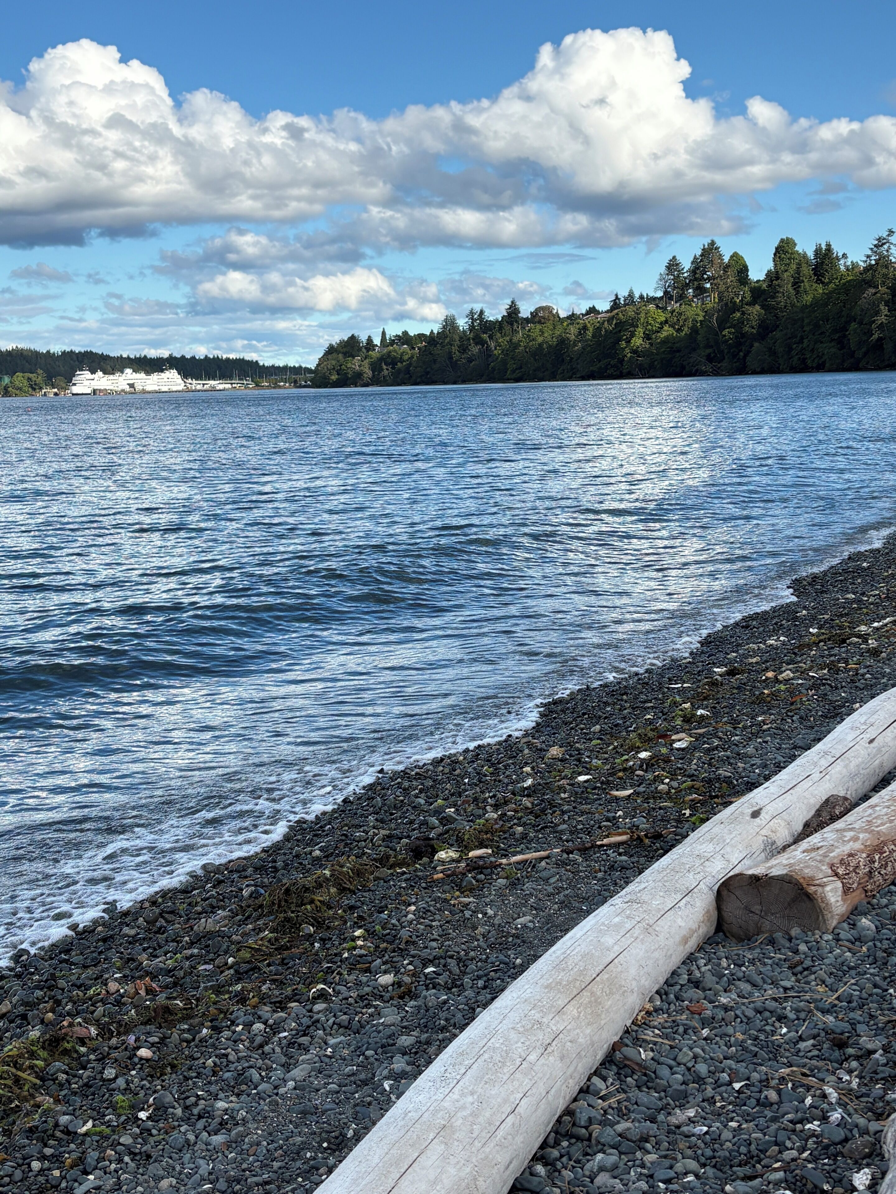 Chaise longue, serviettes de plage