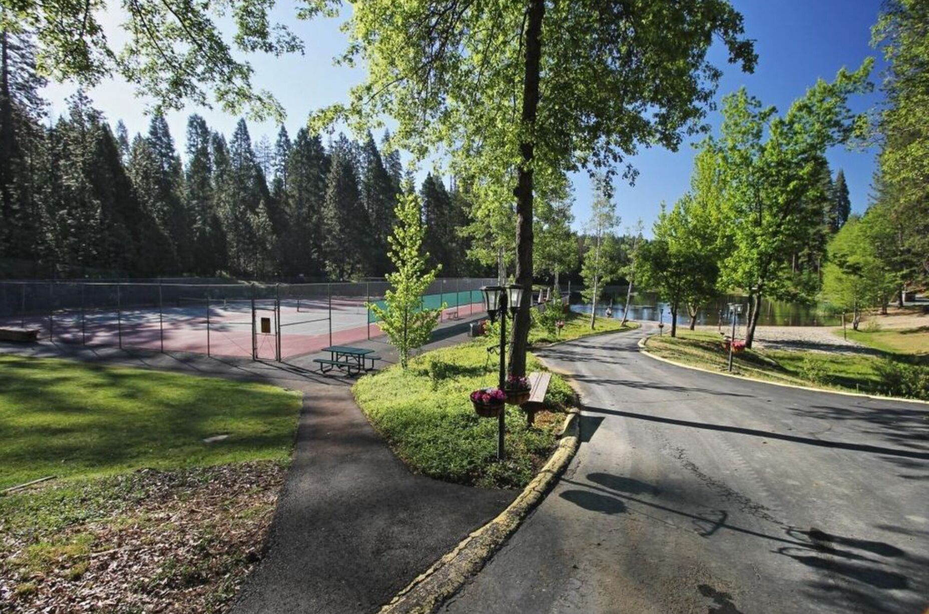 Sport court