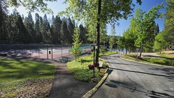 Sport court