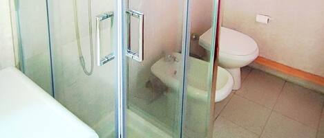 Shower, hair dryer, bidet, towels