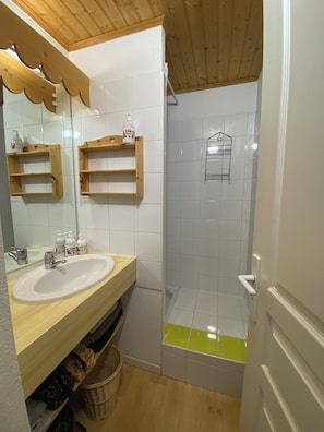 Shower, hair dryer, toilet paper - Duplex 6 pers at the foot of the slopes Comfort, charm & mountain view Ski in & out (Risoul)