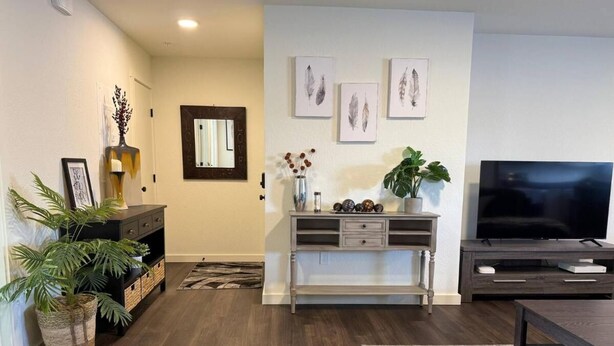 A modern living room with a dark wood floor, a grey entertainment unit, a flat-screen TV, and a large potted plant.