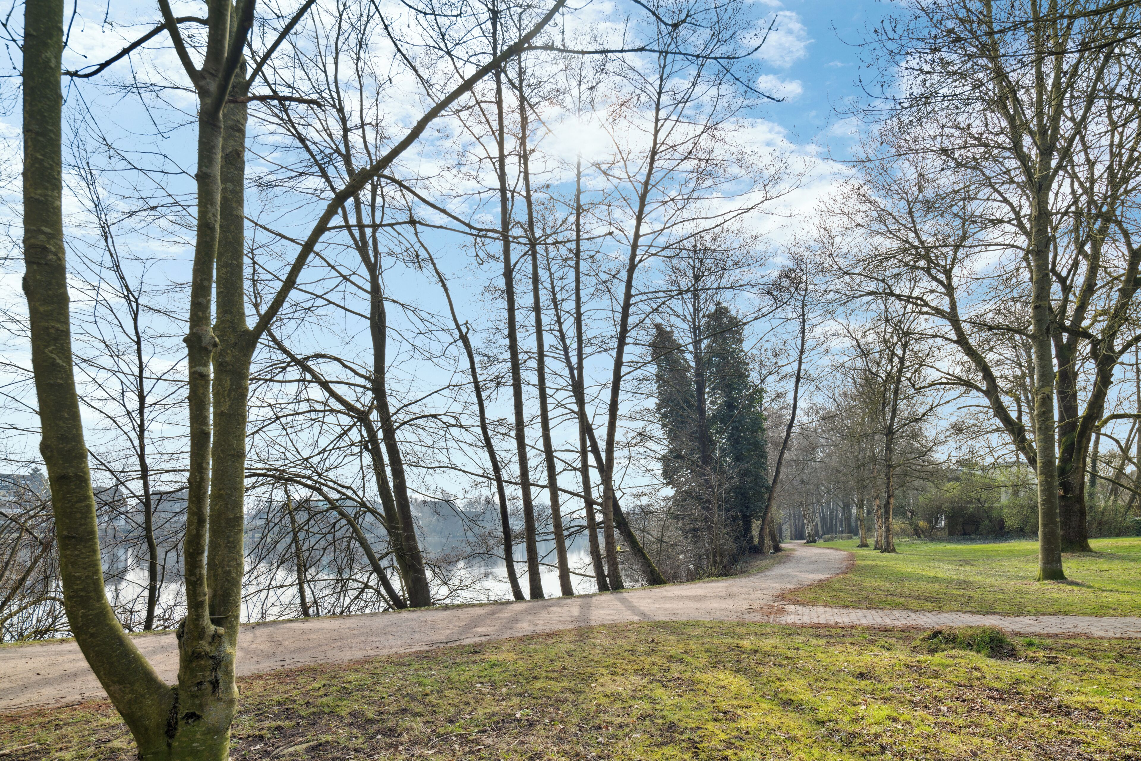 A pathway through a park with trees and a view of a body of water.