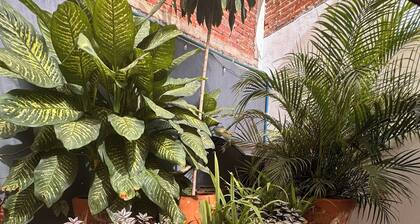 Casita in the heart of the Historic Down Town of Oaxaca (equipped, independent)