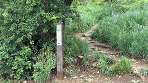 Immagine non classificata, 5 di 13, pulsante