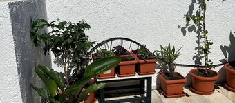 La Mar sala 
Apartamento con encanto y gran terraza con vistas en Rodalquilar