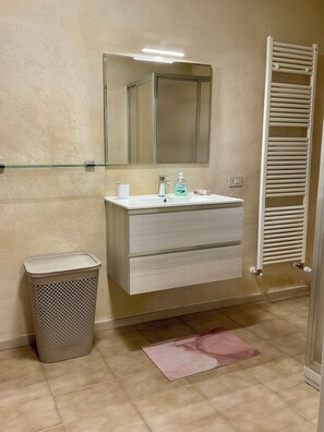 Shower, hair dryer, bidet, towels