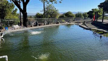 Alberca al aire libre y alberca climatizada