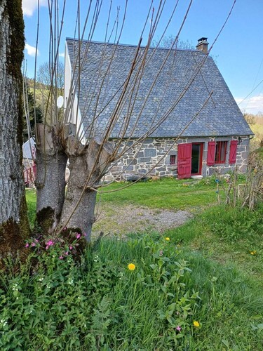 In Volcanoes National Park. Ideal for families with children. Sleeps 12