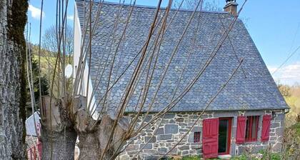 In Volcanoes National Park. Ideal for families with children. Sleeps 12