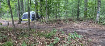 Tent w/ Mattresses on Private wooded camp site