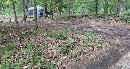 Tent w/ Mattresses on Private wooded camp site