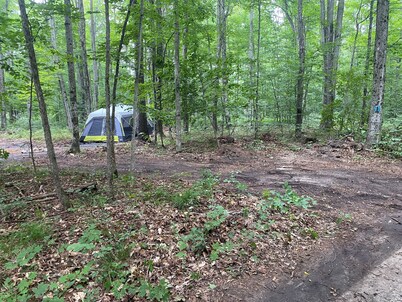 Tent w/ Mattresses on Private wooded camp site