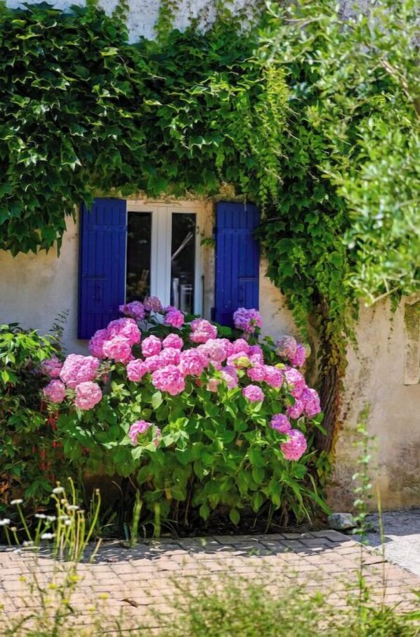 Exterior detail - Le Petit Breuil near Saintes (Les Essards)