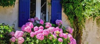 Le Petit Breuil near Saintes