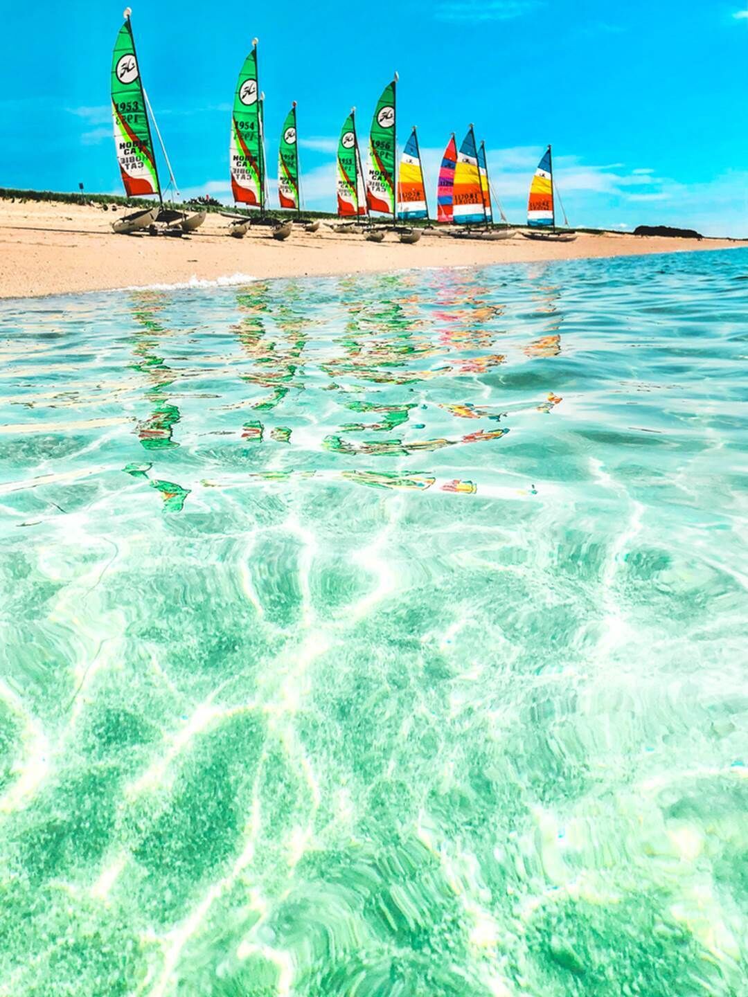 Uma praia com águas calmas e transparentes e vários veleiros com velas coloridas.