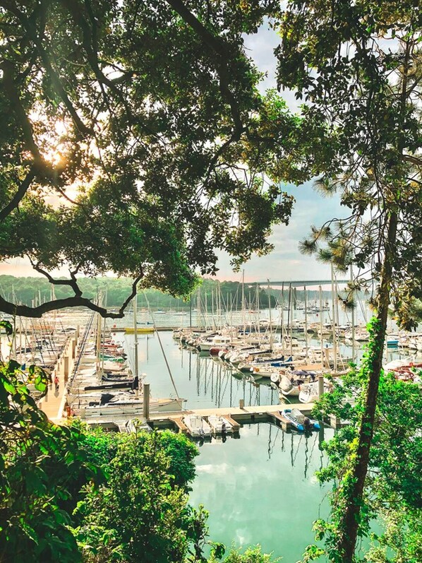 Marina