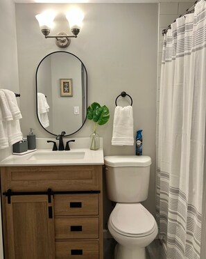 Hair dryer, towels, soap, shampoo