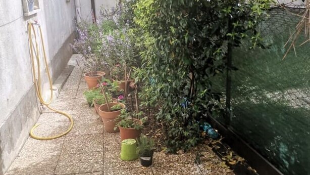 A narrow outdoor area with potted plants and a hose on the ground. - 🏡 Holiday Apartment in Policastro Bussentino (Policastro Bussentino)