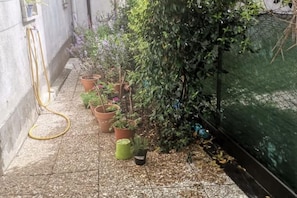 A narrow outdoor area with potted plants and a hose on the ground.