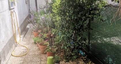  Holiday Apartment in Policastro Bussentino