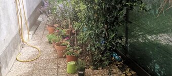  Holiday Apartment in Policastro Bussentino