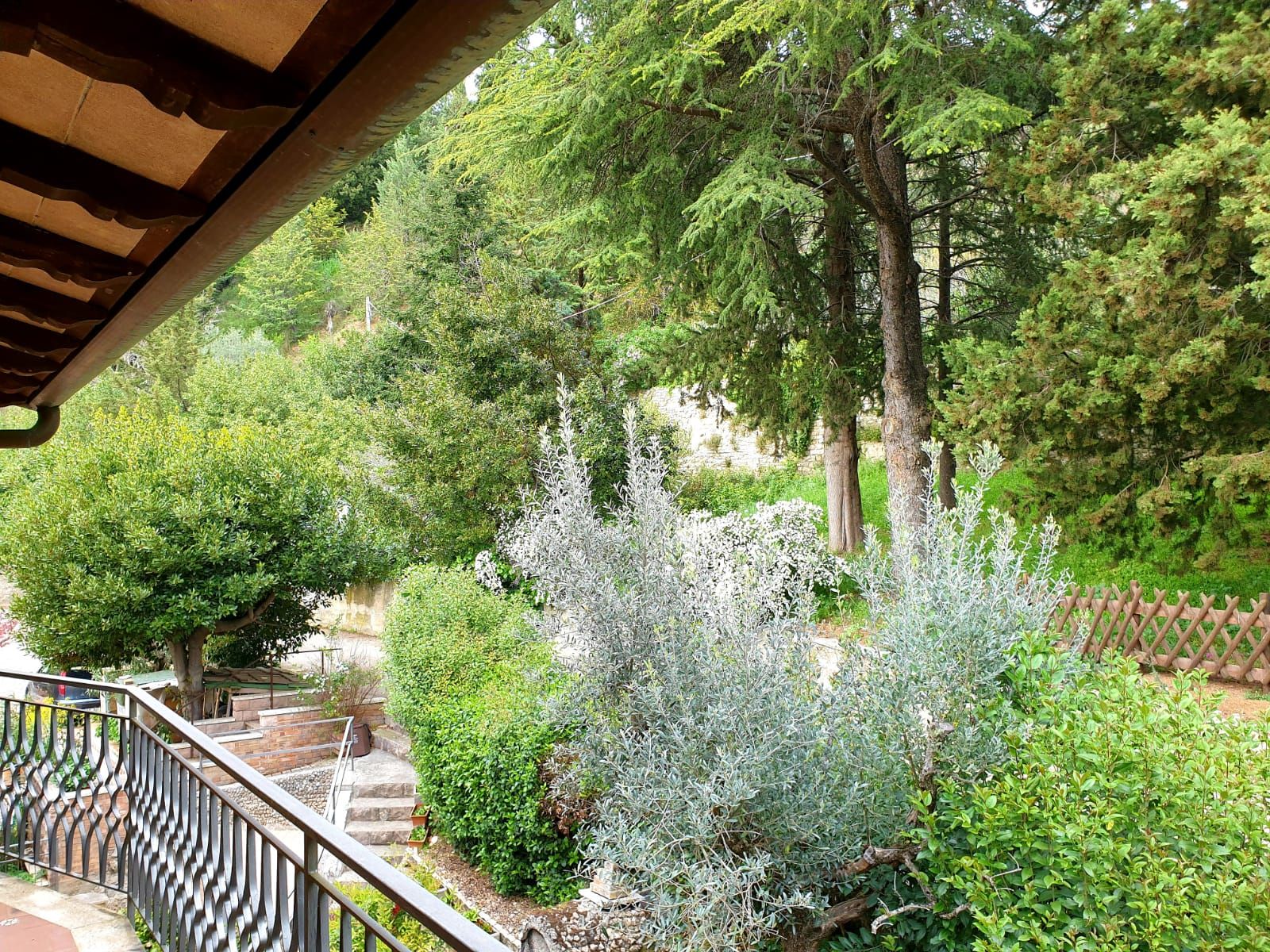 A garden with a variety of trees and shrubs, a wooden pergola, and a stone staircase leading to a higher level.