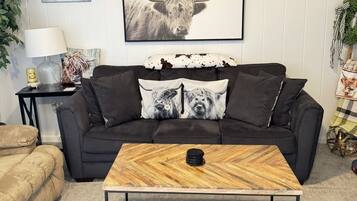 Älytelevisio, takka, DVD-soitin, kirjoja