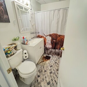 Haartrockner, Handtücher, Seife, Toilettenpapier