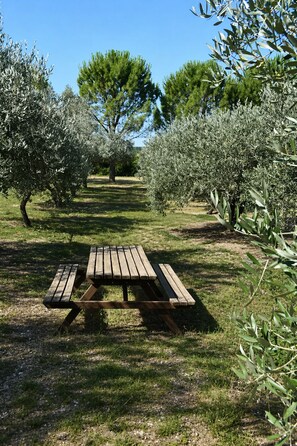 An outdoor picnic area with a wooden table and benches, surrounded by olive trees.